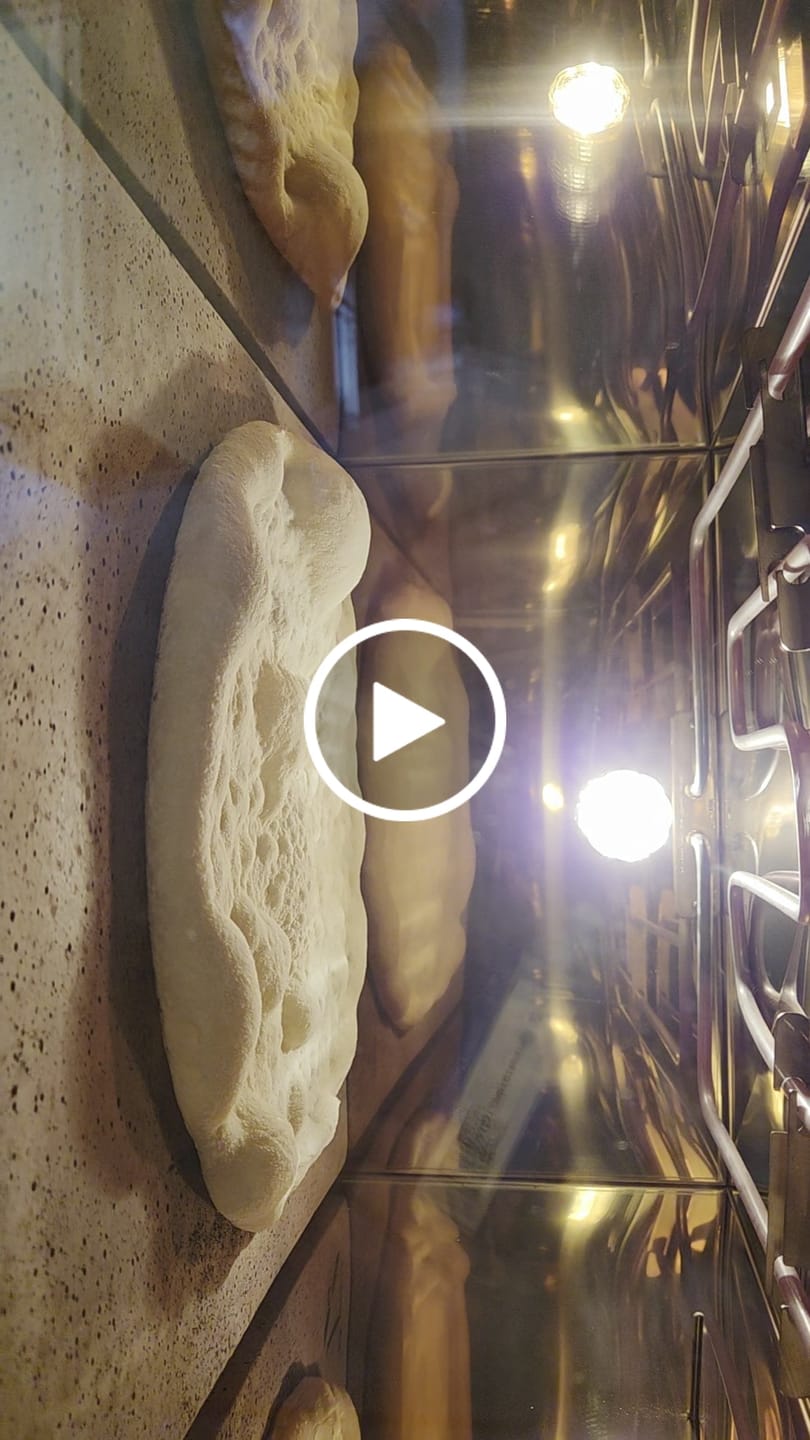 Customer video review of Pizzaofen EffeUno P134HA PRO 509°C