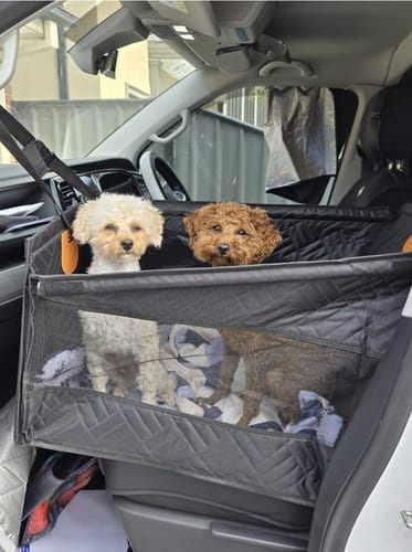 Customer photo review of Marlo&Co™ Single Seat Adventure Bundle