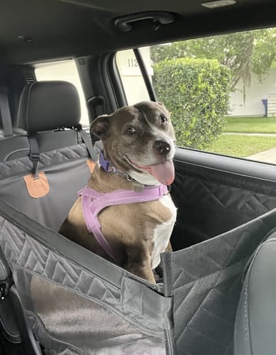 Customer photo review of Marlo&Co™ Single Seat Adventure Bundle
