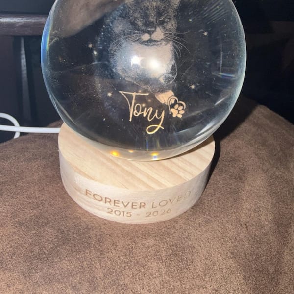 Customer photo review of Personalized Pet Portrait Crystal Ball Night Light