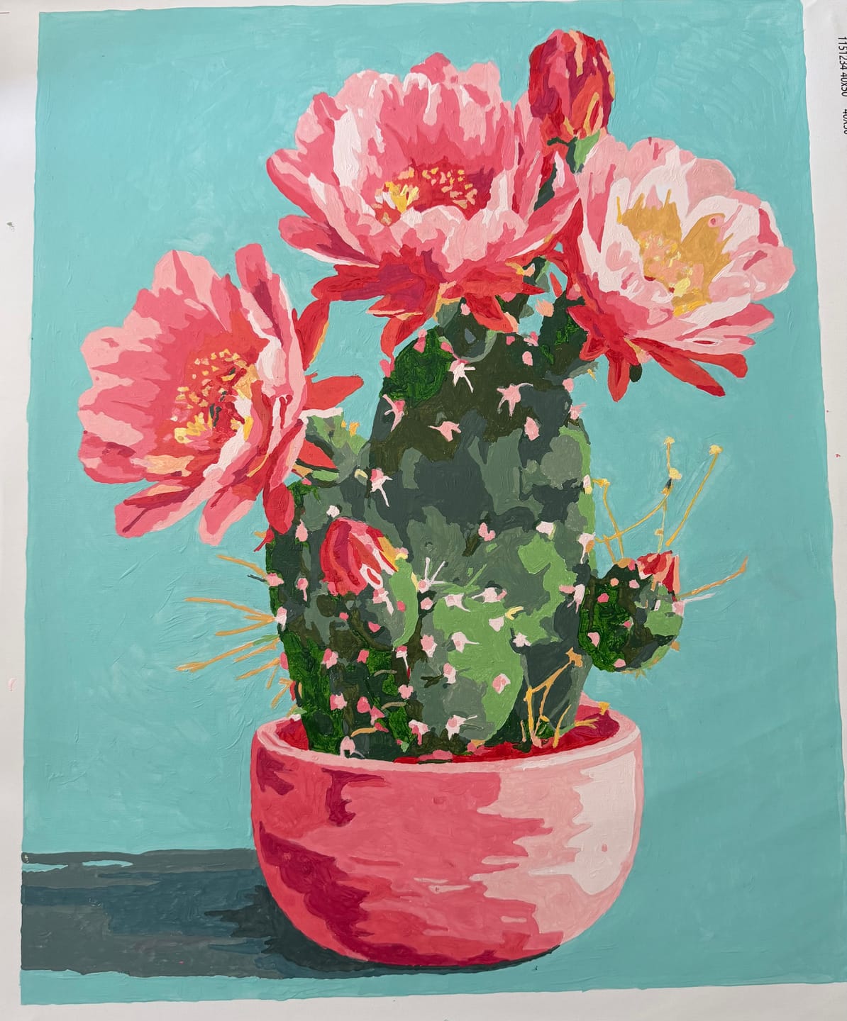 Customer photo review of Blooming cactus | Paint by Number