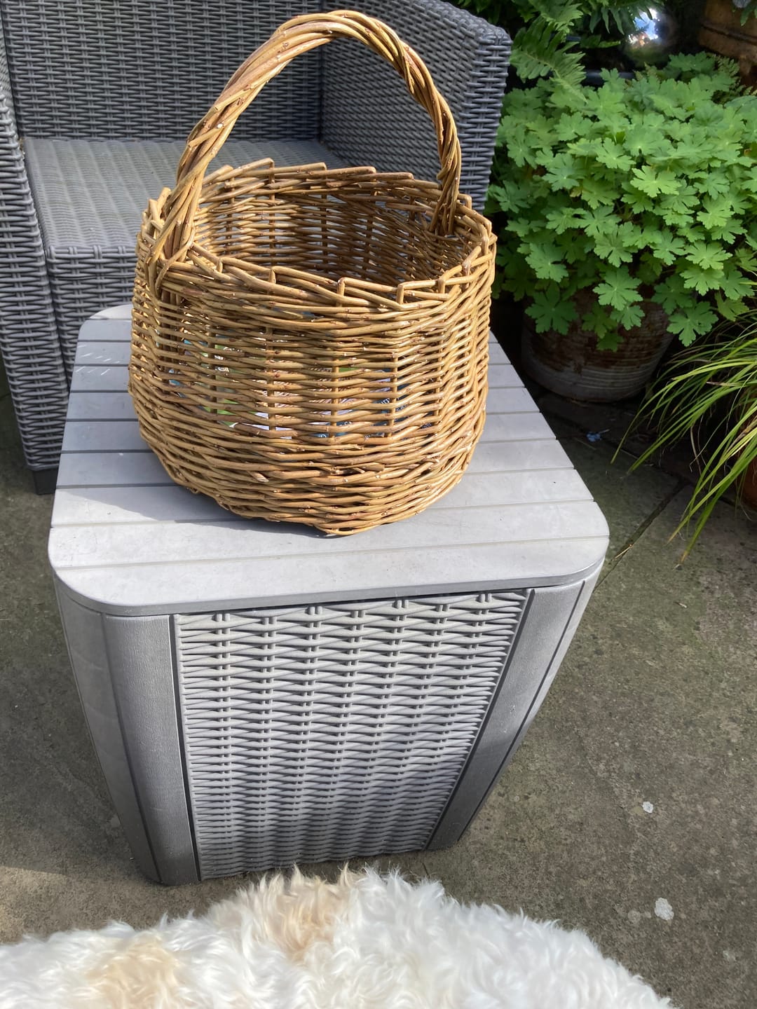 Customer photo review of The Berry Basket - Course and Kit