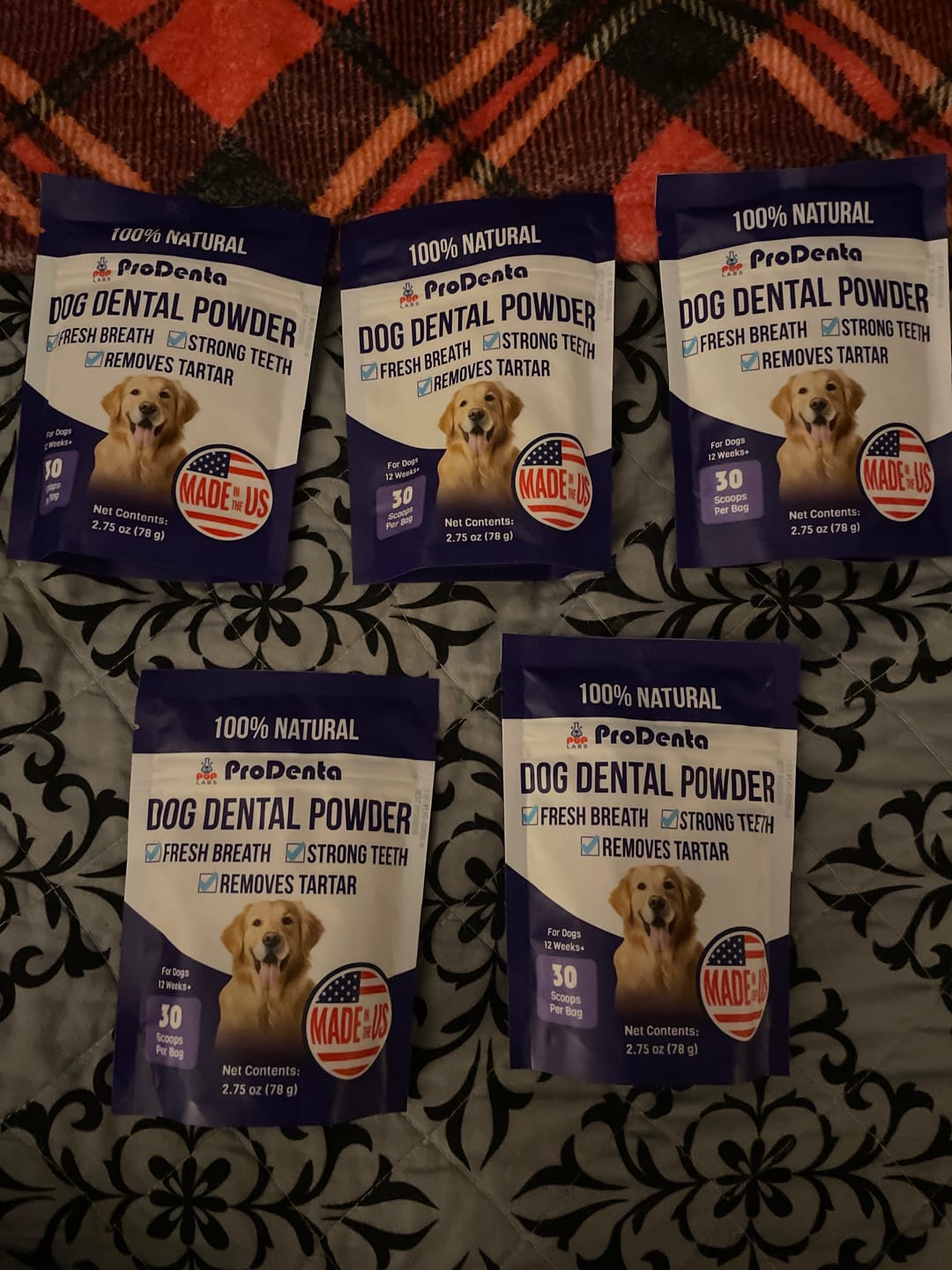 Customer photo review of ProDenta by PupLabs™ - Limited Time Offer
