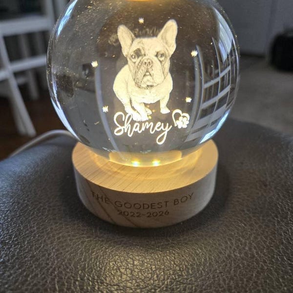 Customer photo review of Personalized Pet Portrait Crystal Ball Night Light