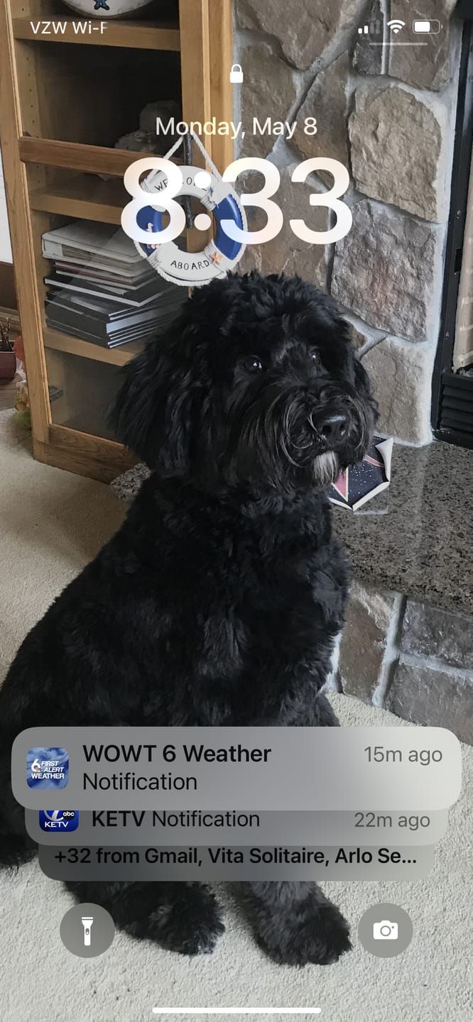 Customer photo review of furMe Precision Paw Set Replacement Heads