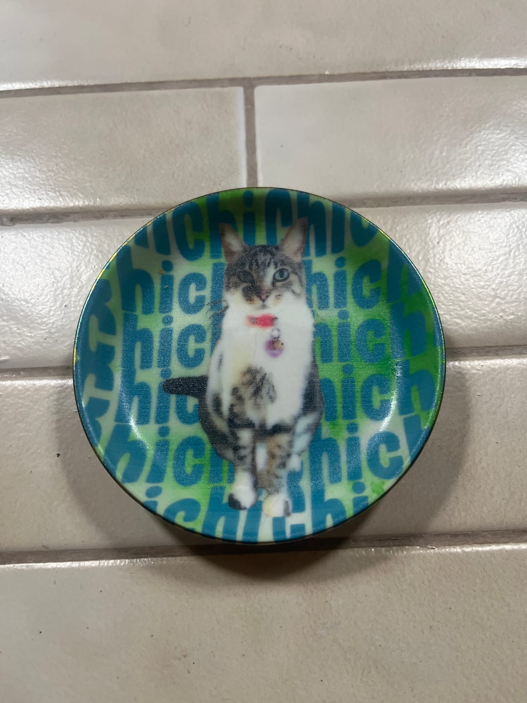 Customer photo review of Custom Pet Watercolor Portrait Engraved Name - Personalized Jewelry Dish