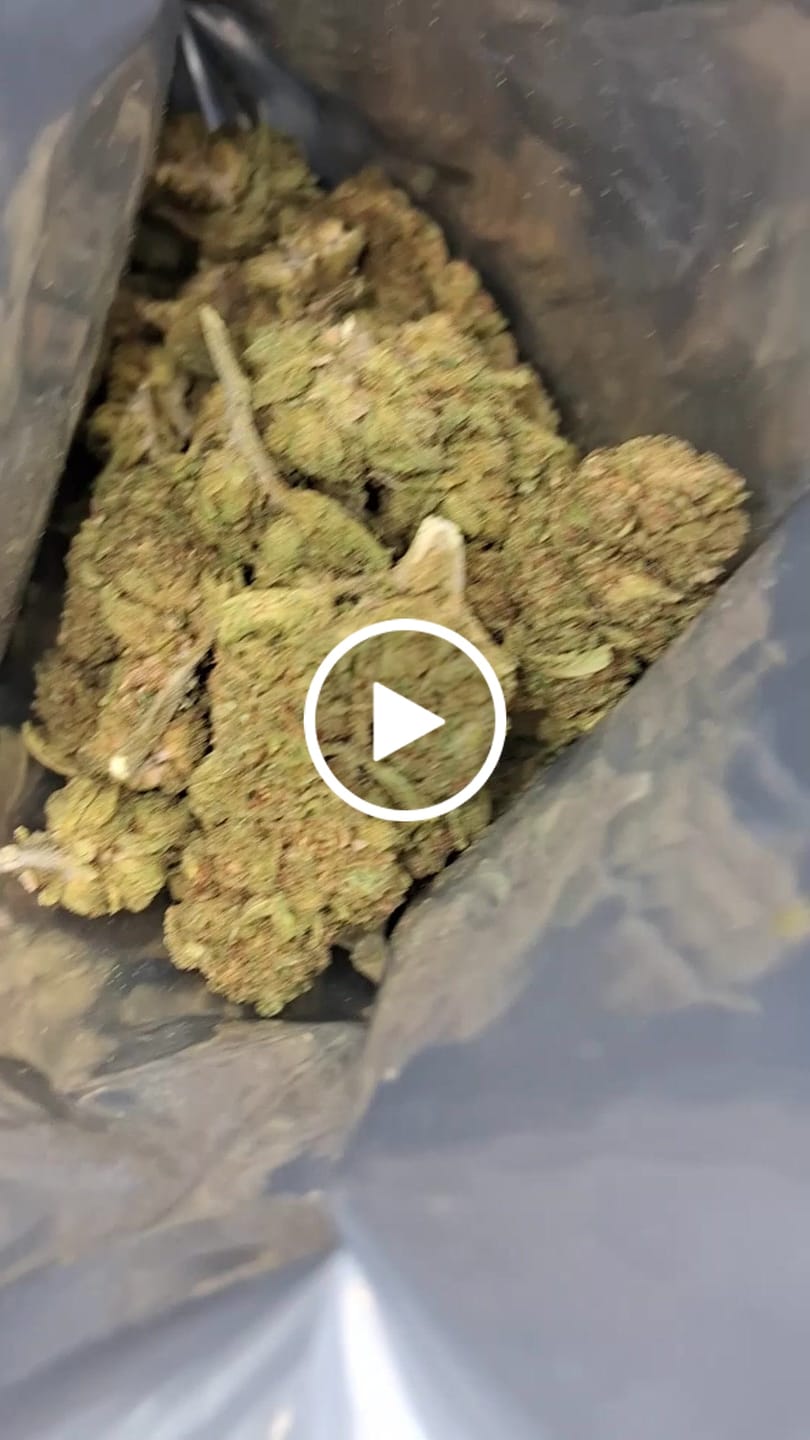 Customer video review of Blackout Berries THCA Flower Ounce (28g)