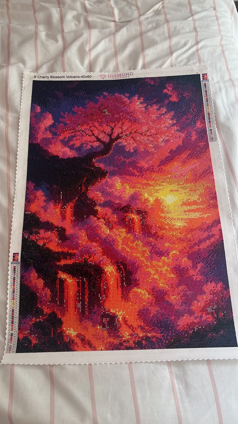 Customer photo review of Mount Fuji