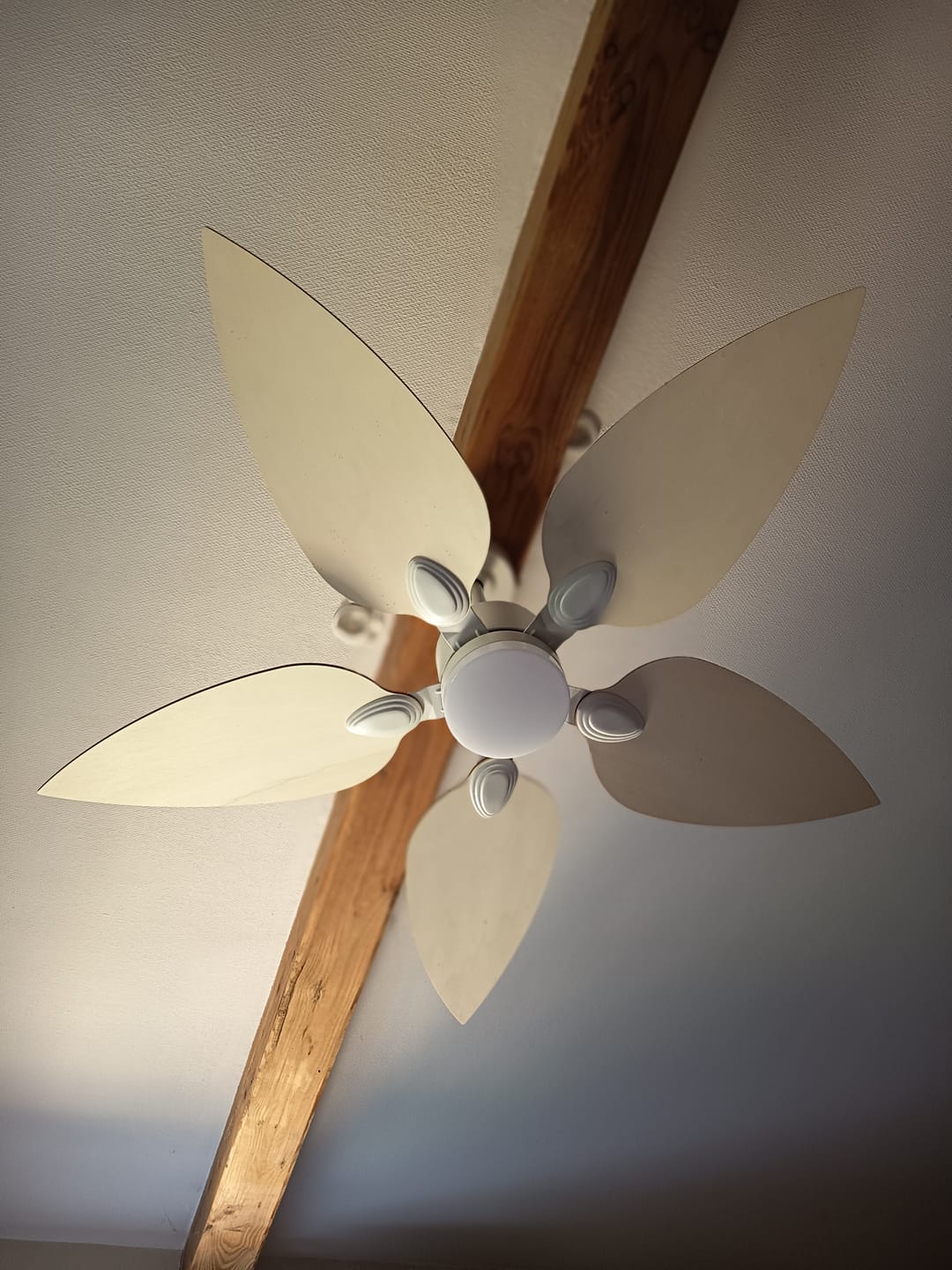 Customer photo review of Virevole | Ventilateur de plafond