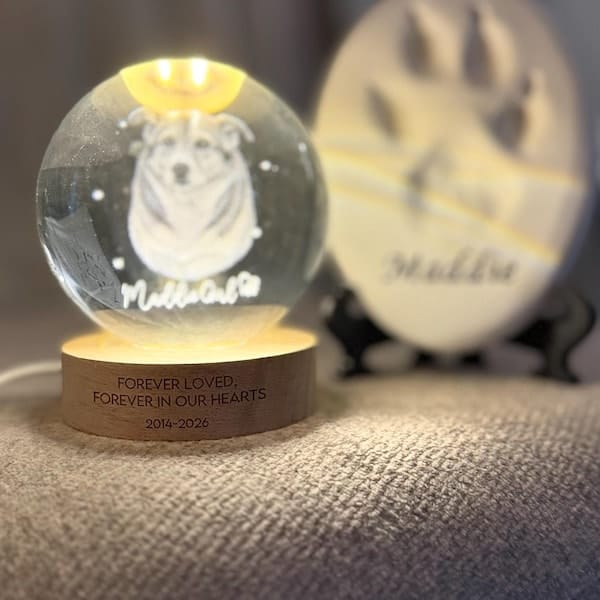 Customer photo review of Personalized Pet Portrait Crystal Ball Night Light