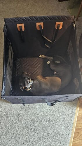 Customer photo review of Marlo&Co™ Single Seat Adventure Bundle