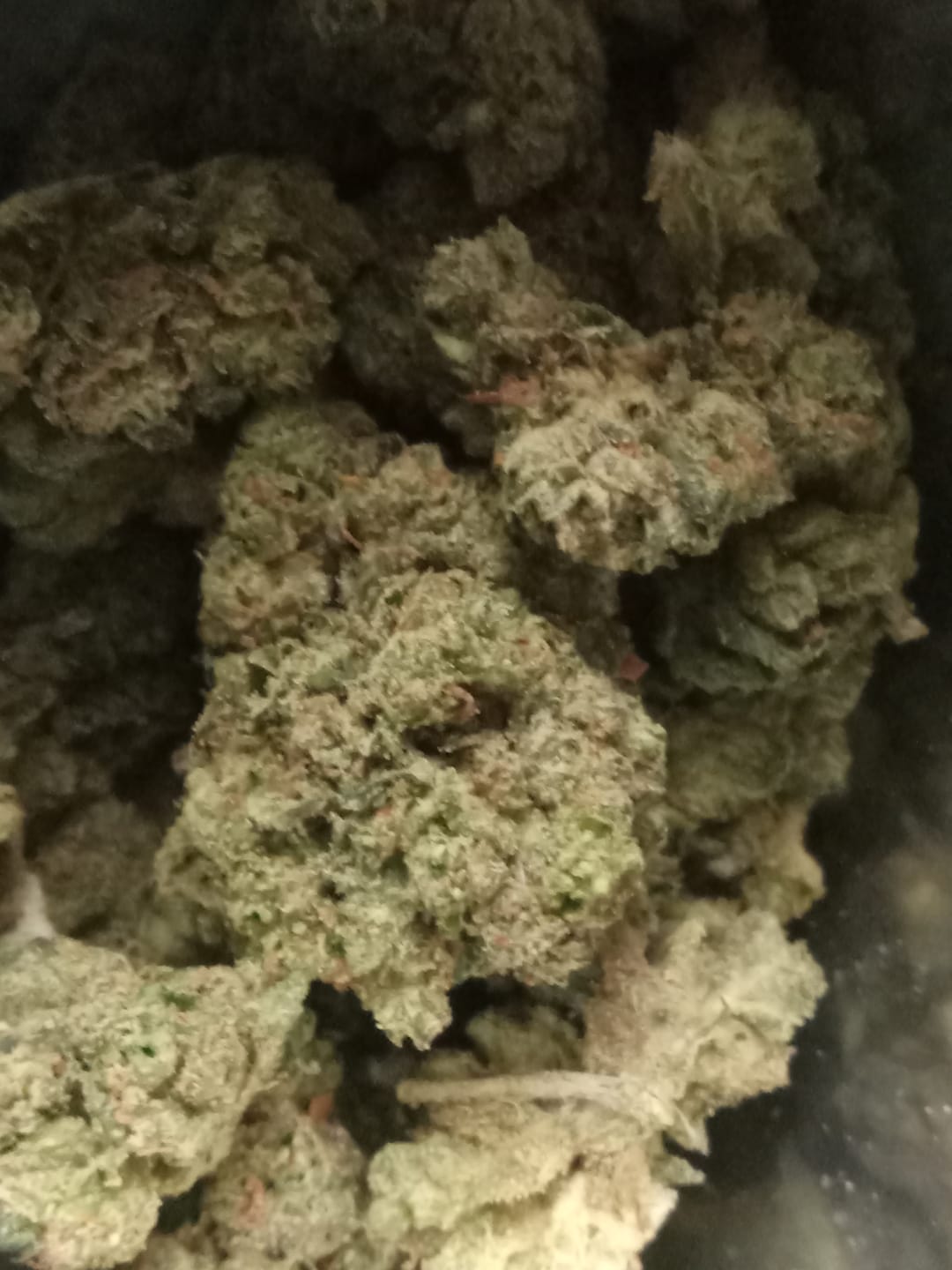 Customer photo review of Northern Lights THCA Flower