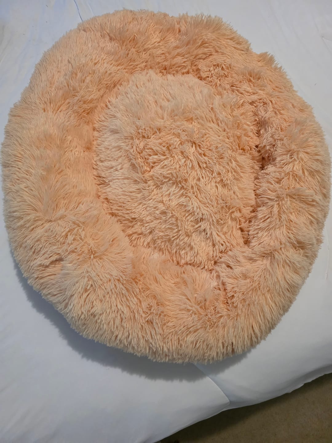 Customer photo review of The Original Fluffy Bean® Pet Bed