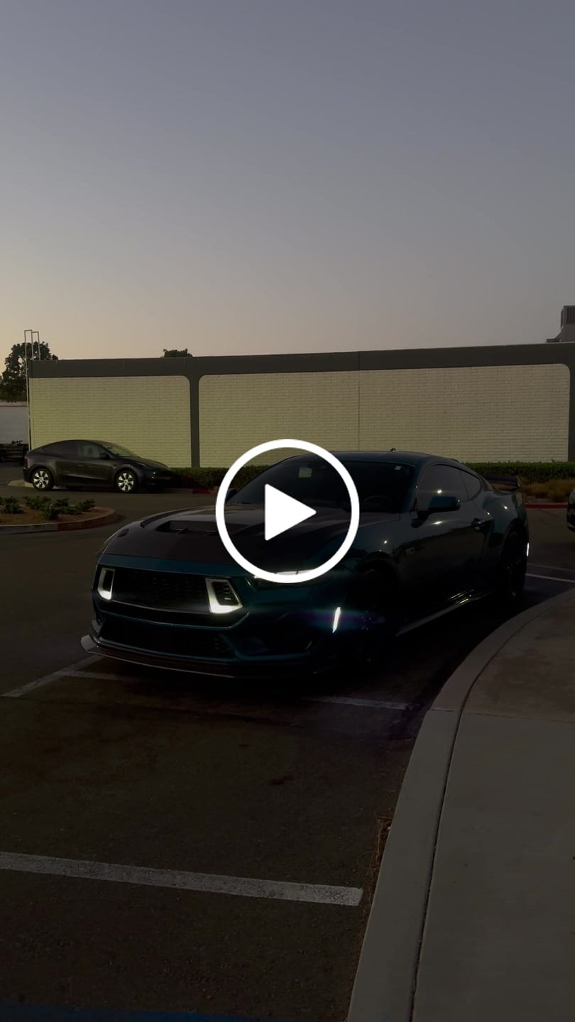 Customer video review of 2024-2026 Mustang S650 Front Upper Grille Gloss Black Dynamic Animation LED Amber Turn Signal