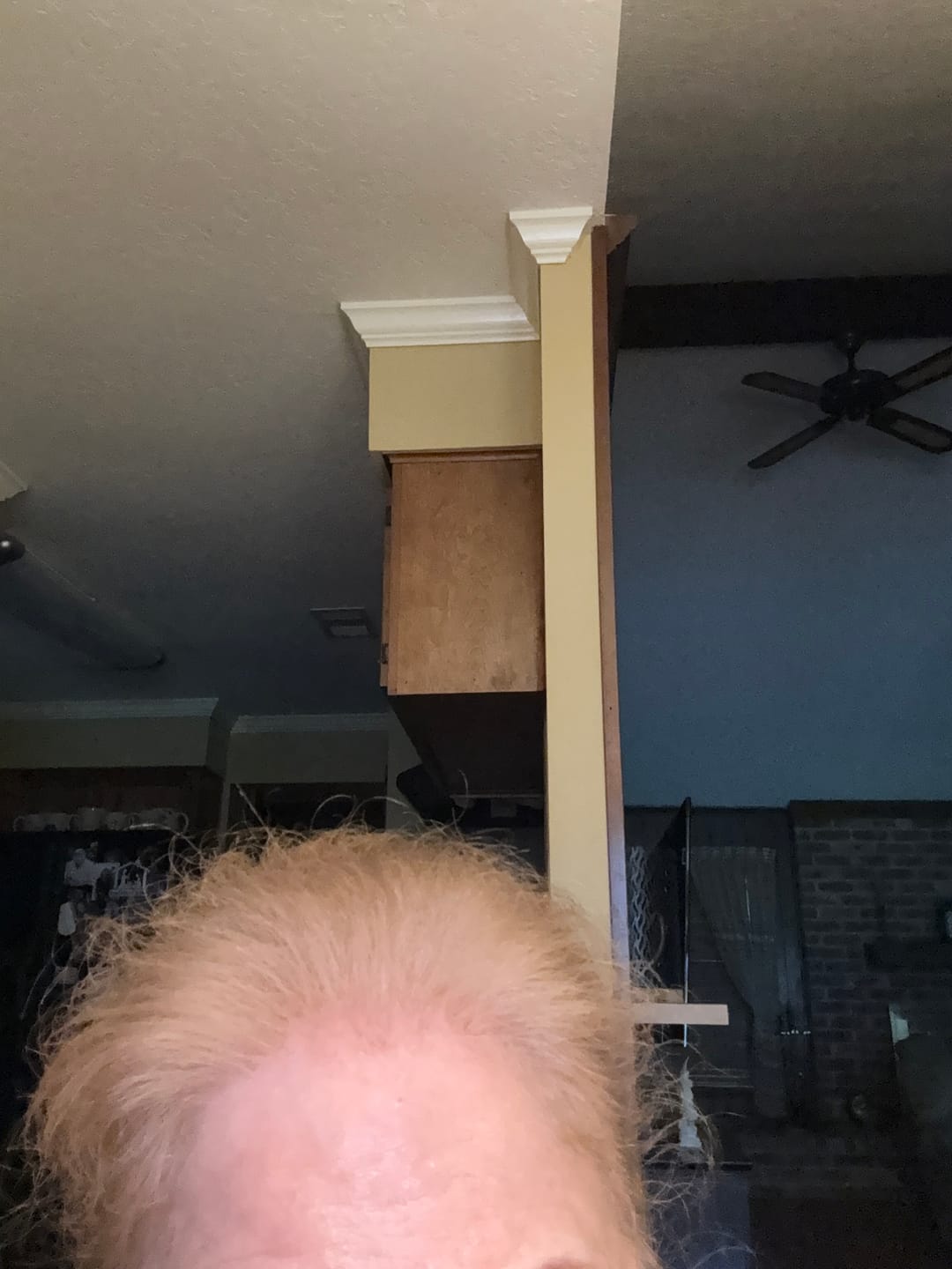Customer photo review of Instant Dye Shampoo