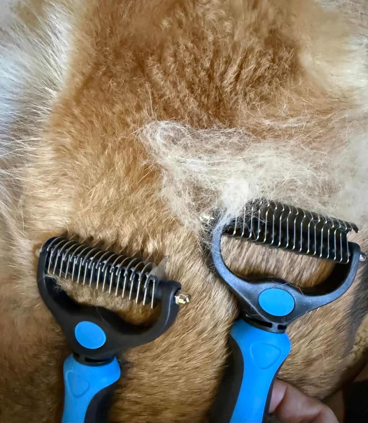 Customer photo review of FurEase™