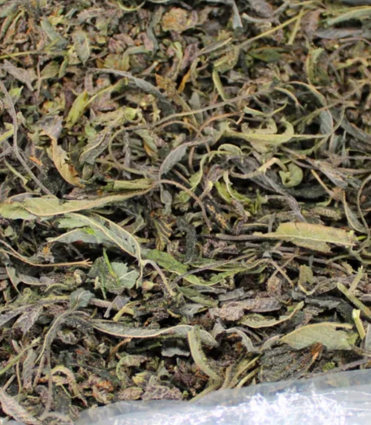Customer photo review of Cheap THCA Flower Trim