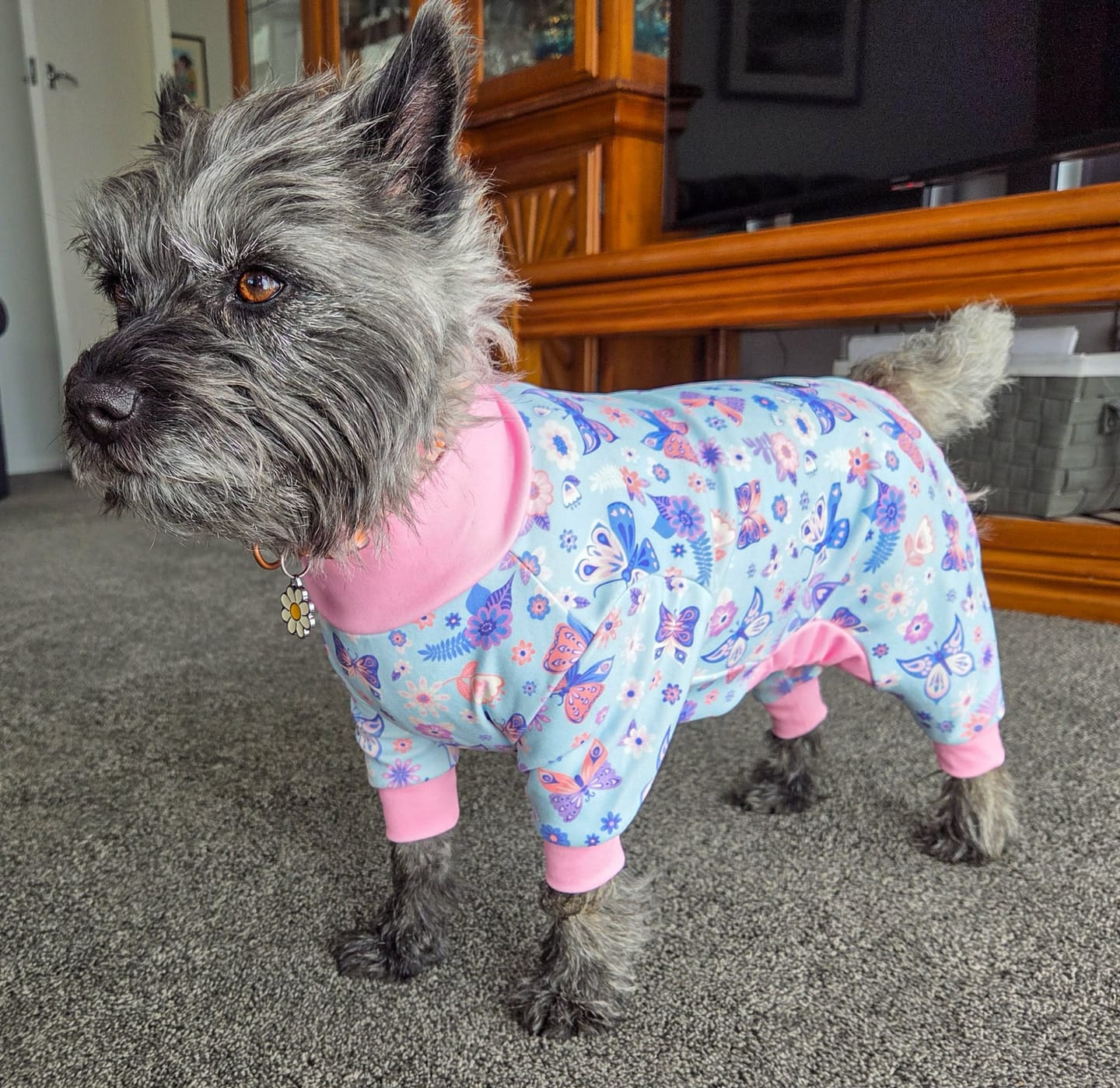 Customer photo review of Dog Pajama - Butterfly