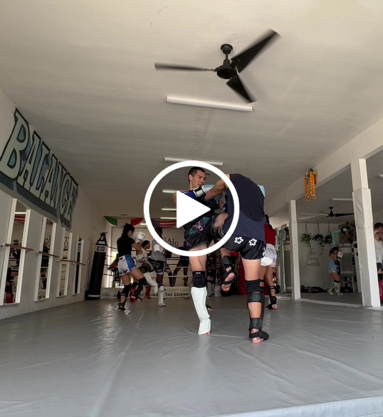 Customer video review of Chaos Realm Muay Thai Shorts