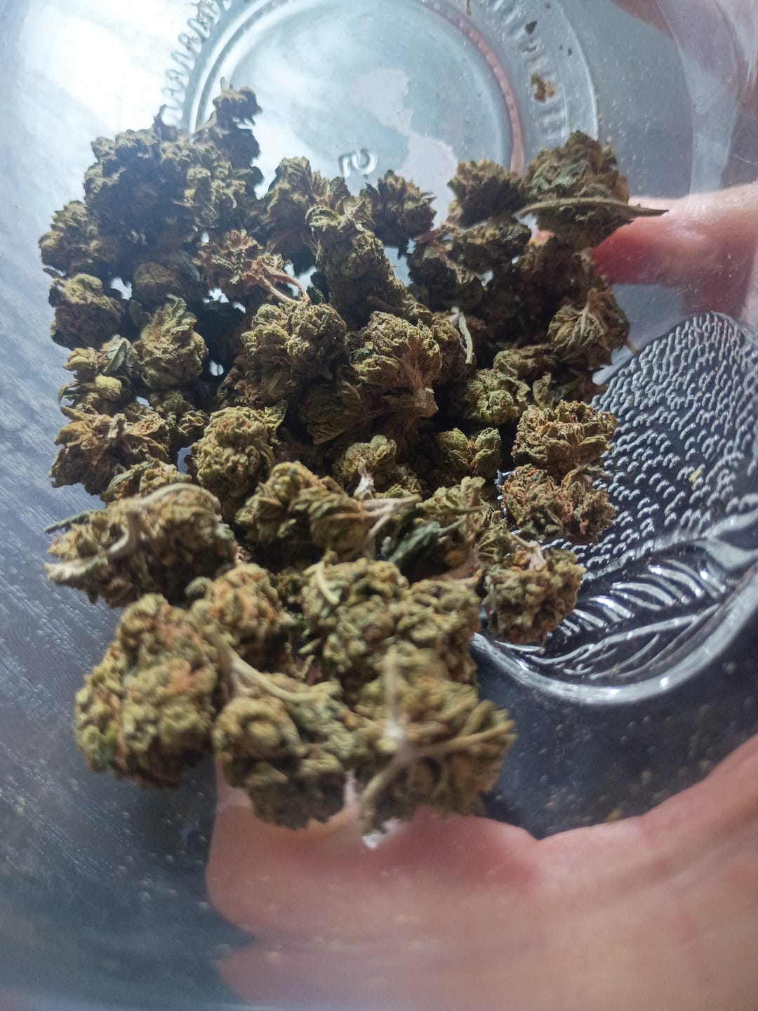 Customer photo review of 1 Oz Cheap THCA Small Buds