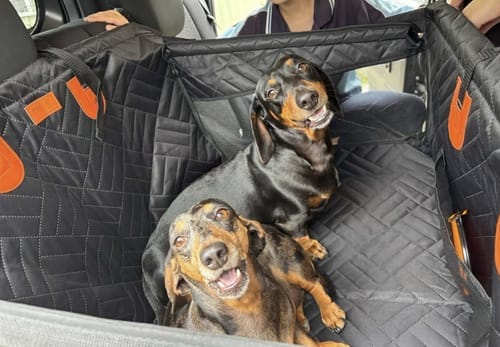 Customer photo review of Marlo&Co™ Single Seat Adventure Bundle
