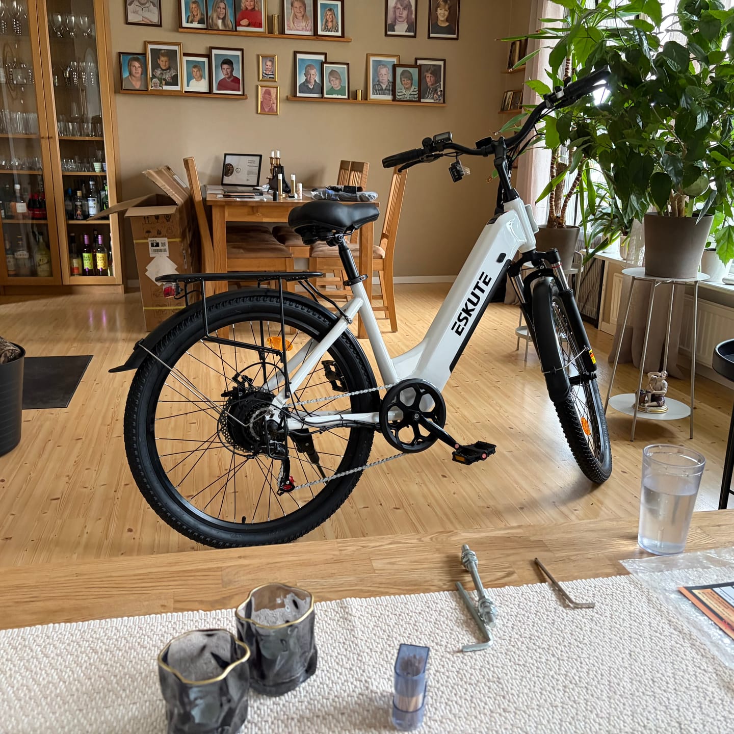 Customer photo review of Eskute C202 City E-Bike