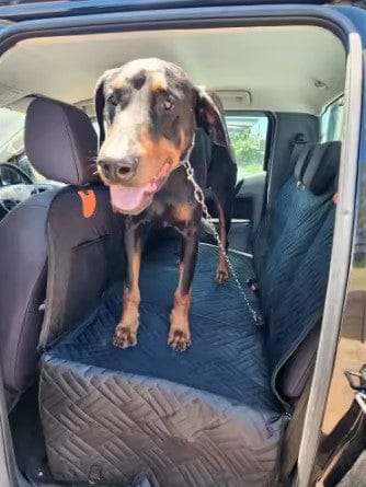 Customer photo review of Housse de voiture pour chien - Fond rigide