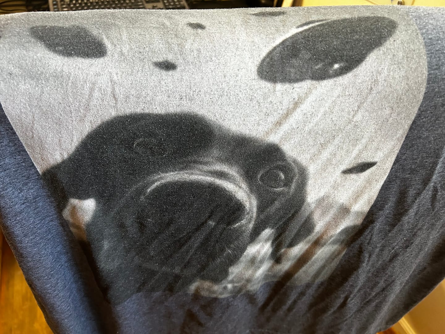 Customer photo review of Funny Labrador UFO