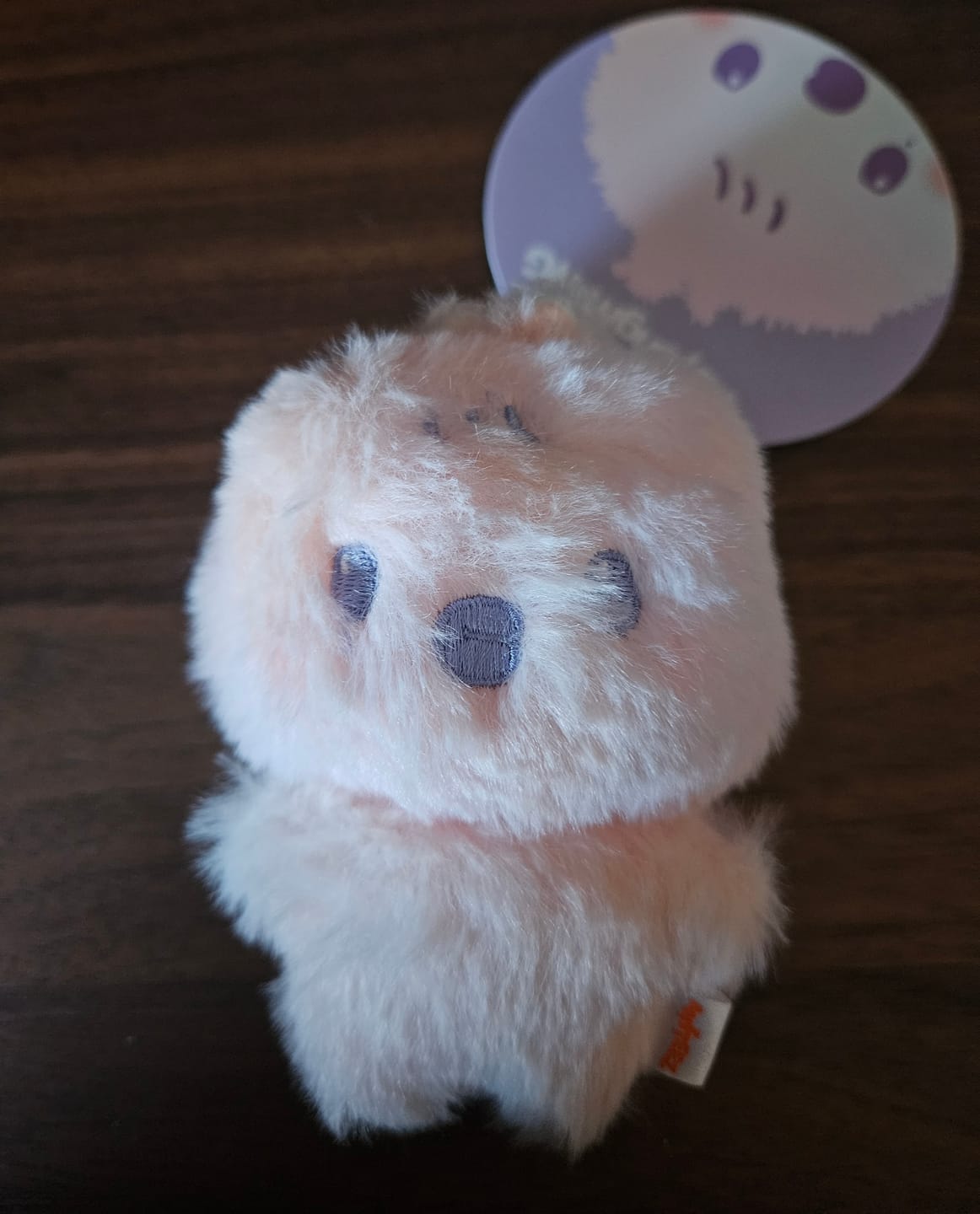Customer photo review of ATEEZ - ANITEEZ IN COLOR POP UP OFFICIAL MD COLOR MIX TINY ANITEEZ DOLL