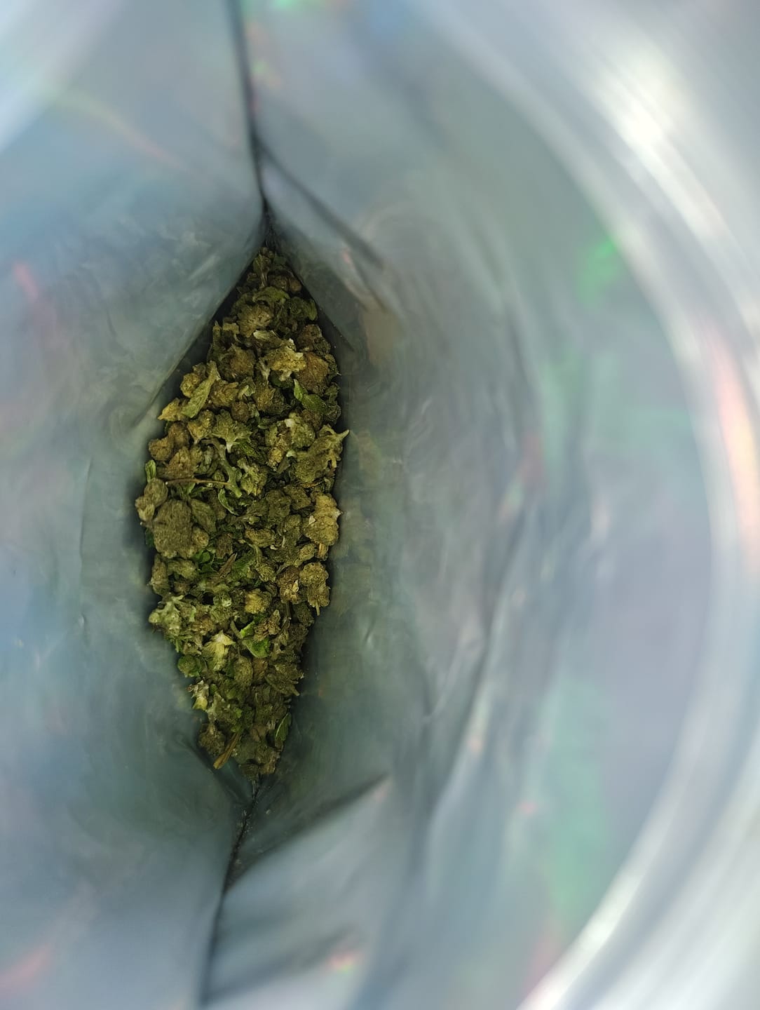 Customer photo review of Jungle Gelato - 28 Grams - Indica