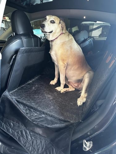 Customer photo review of Marlo&Co™ Single Seat Adventure Bundle
