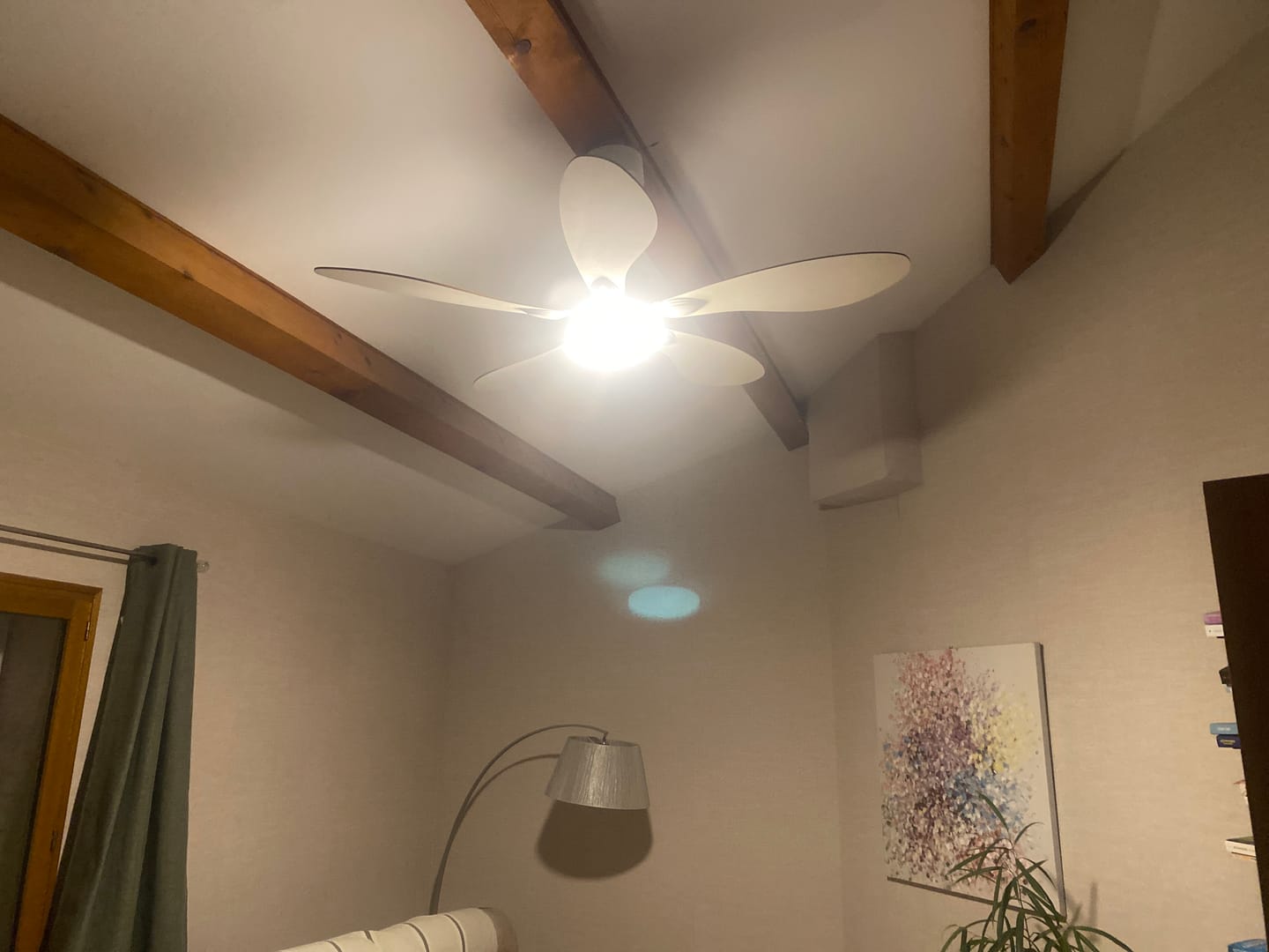 Customer photo review of Libellule | Ventilateur de plafond