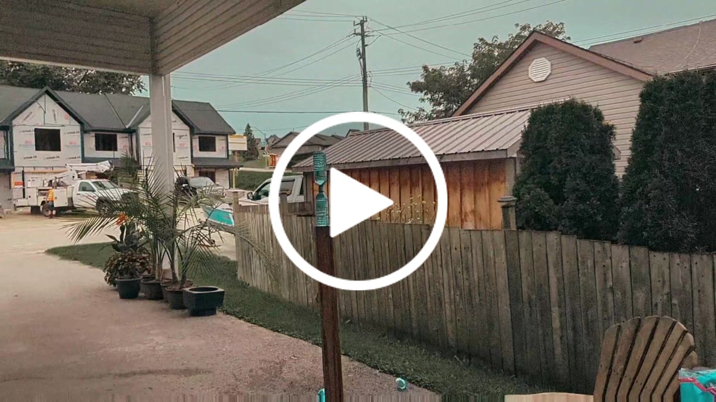 Customer video review of Custom Your Own Katana