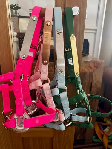 Customer photo review of Personalized Halter - Preorder