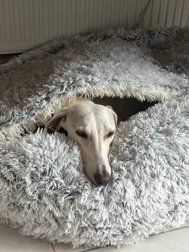 Customer photo review of Super Plush Cove Bed (Medium or Large)