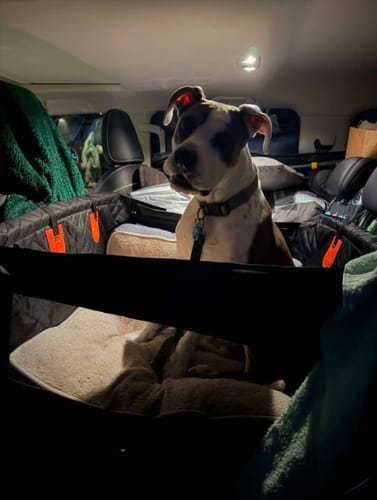 Customer photo review of Marlo&Co™ Single Seat Adventure Bundle