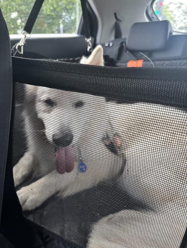 Customer photo review of Marlo&Co™ Single Seat Adventure Bundle