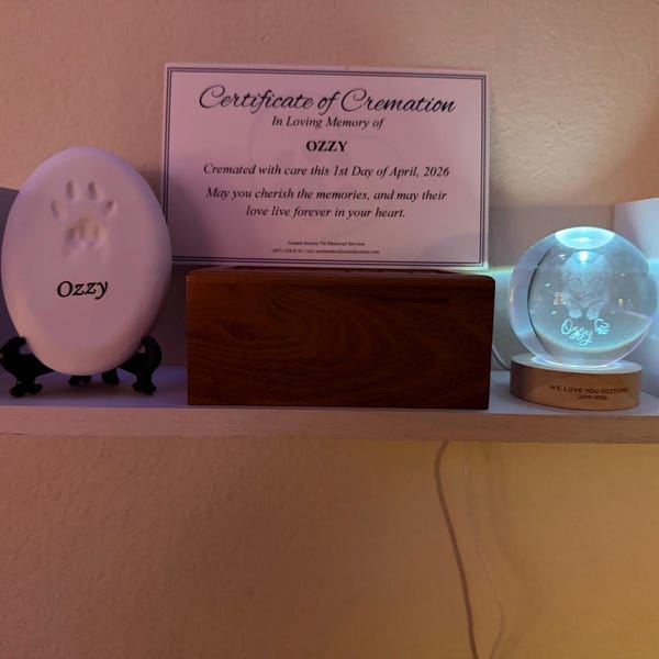 Customer photo review of Personalized Pet Portrait Crystal Ball Night Light