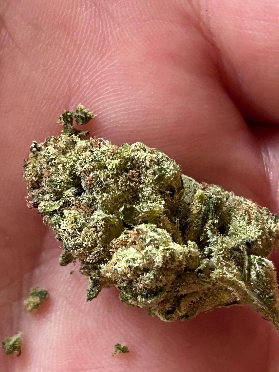 Customer photo review of Blue Sharpiez THCA Flower