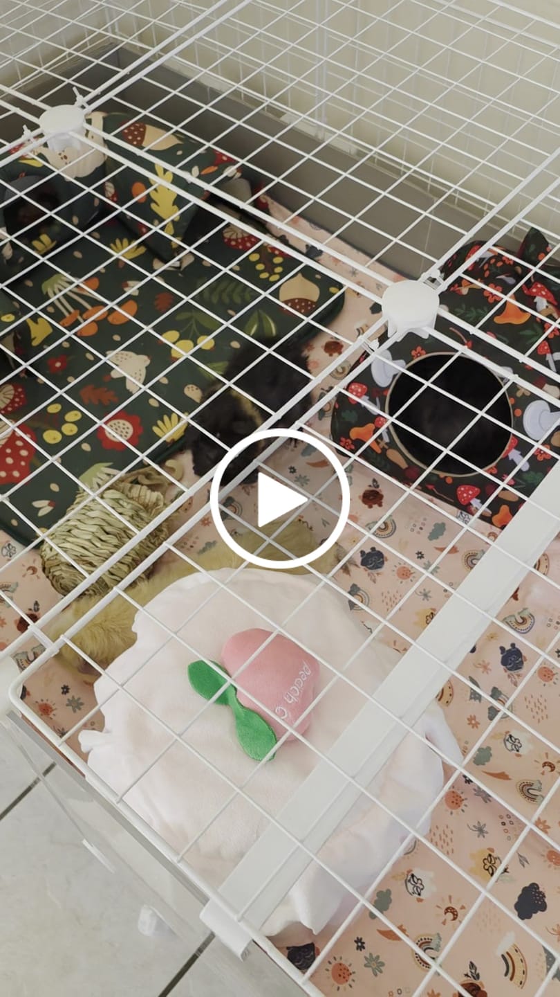 Customer video review of Earthchild Fleece Liner for C&C Ozzy Cages