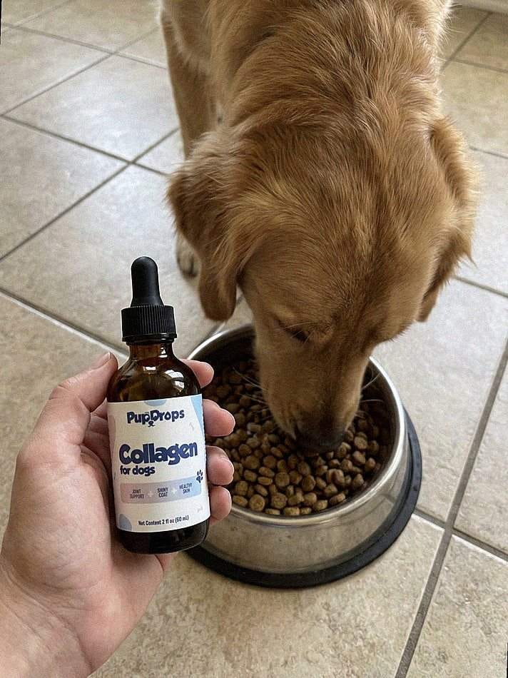 Customer photo review of Liquid Collagen for Dogs by Pupdrops