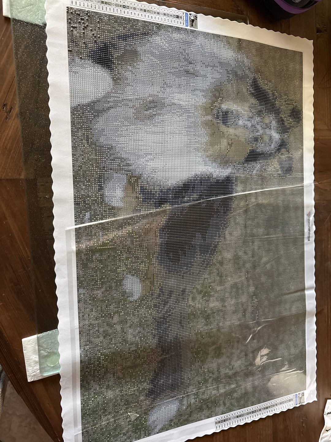 Customer photo review of Custom Diamond Painting Kits - Upload Any Image - Create Your Own
