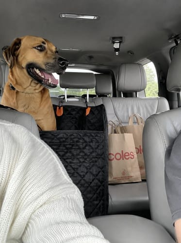 Customer photo review of Marlo&Co™ Single Seat Adventure Bundle
