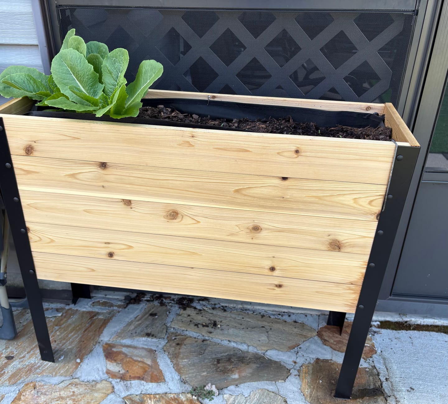 Customer photo review of 11.5″ x 36″ Deep Root Raised Garden Bed - 30″ TALL / Select Grade