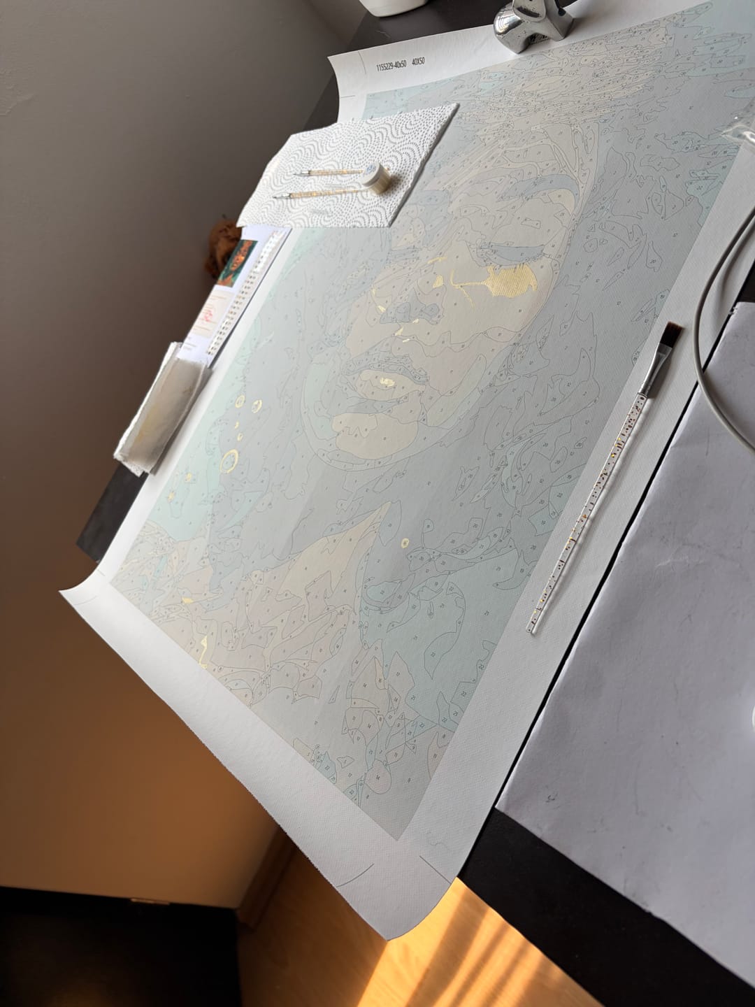 Customer photo review of Beneath the Surface | Paint by Number