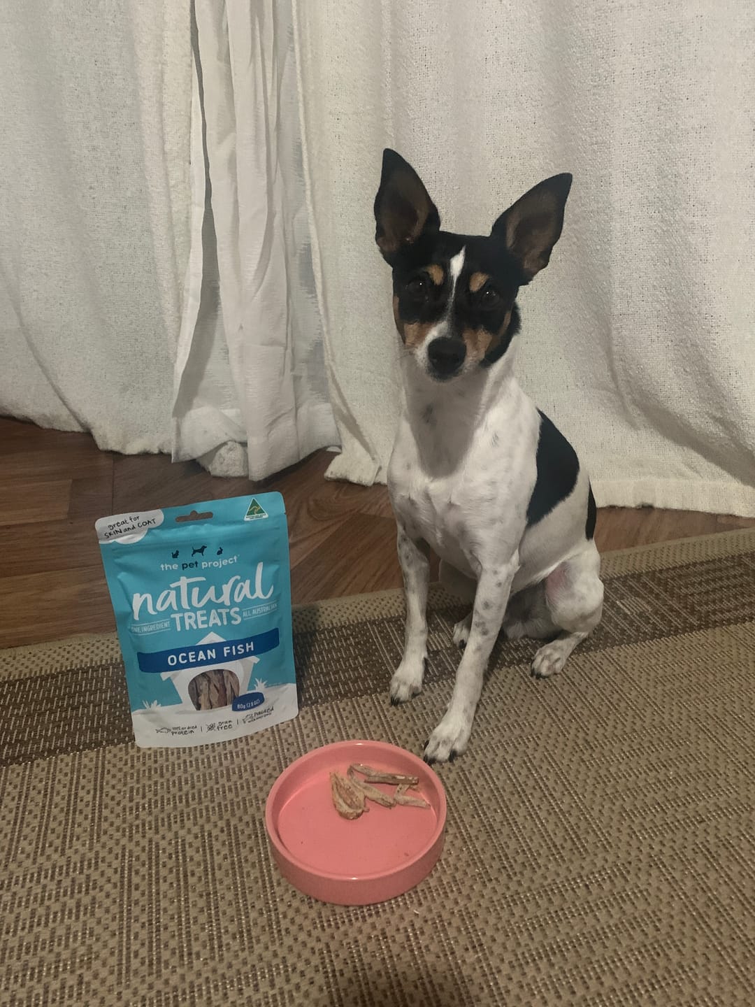 Customer photo review of The Pet Project Ocean Fish Natural Treats 80g