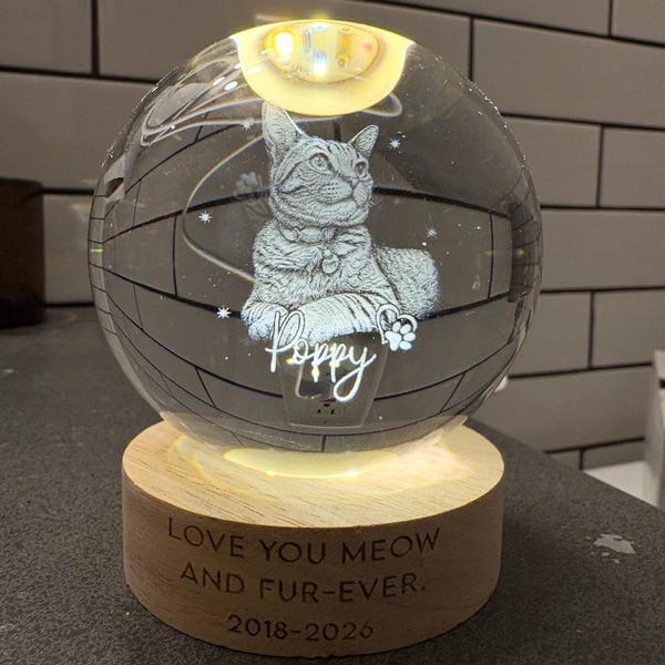 Customer photo review of Personalized Pet Portrait Crystal Ball Night Light