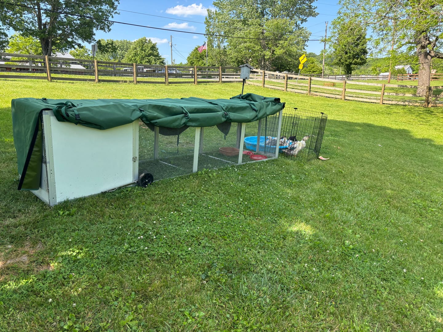 Customer photo review of Mobile Chicken Coop / Chicken Tractor