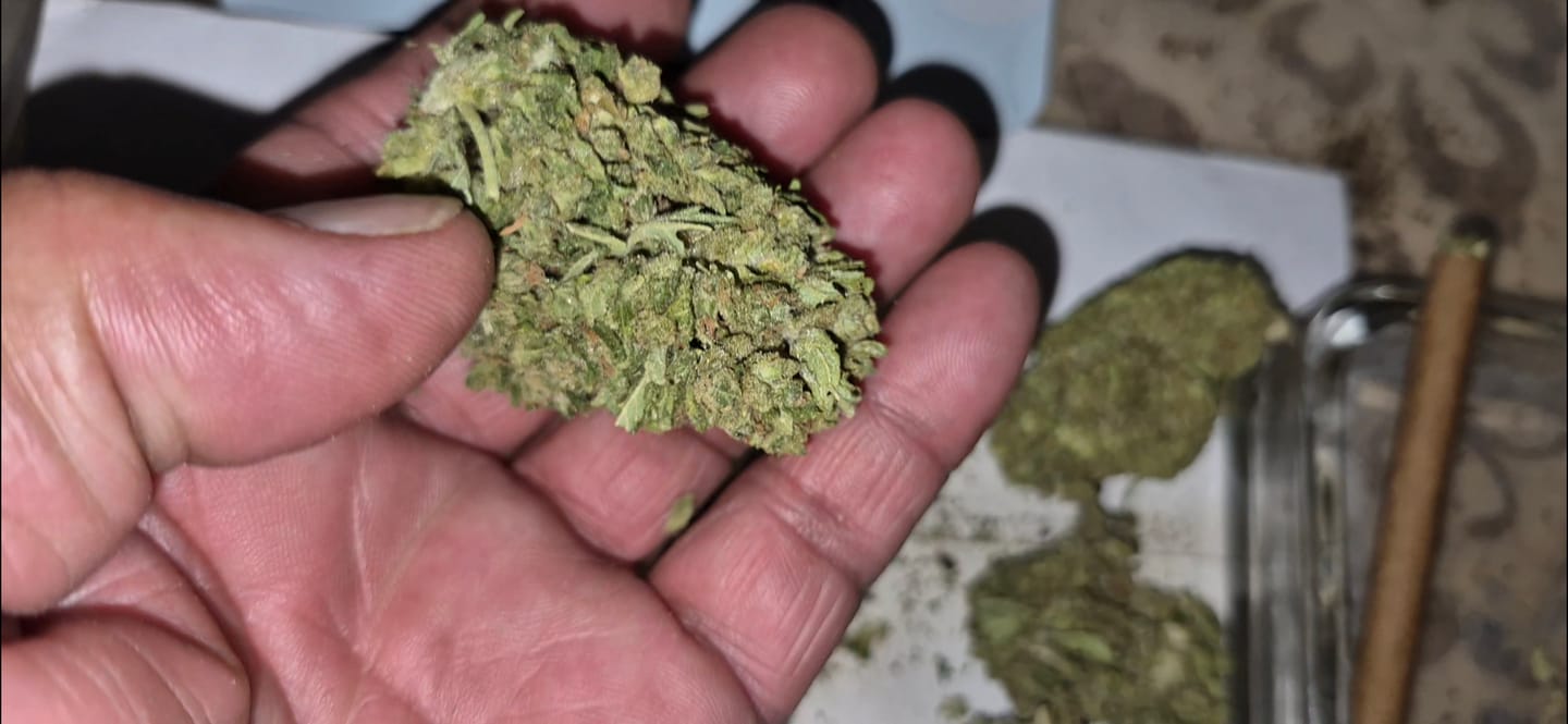 Customer photo review of Maui Wowie - 28 Grams - Sativa