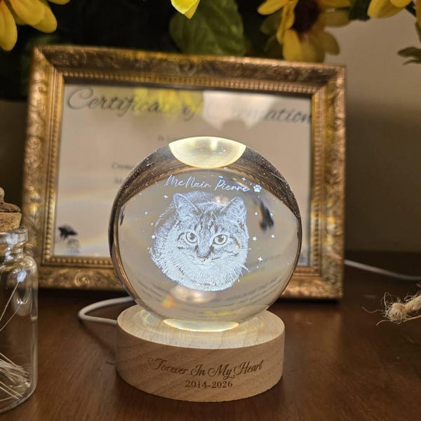 Customer photo review of Personalized Pet Portrait Crystal Ball Night Light